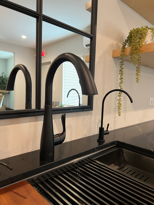 Lanae Kitchen Faucet with Pull Down Sprayer
