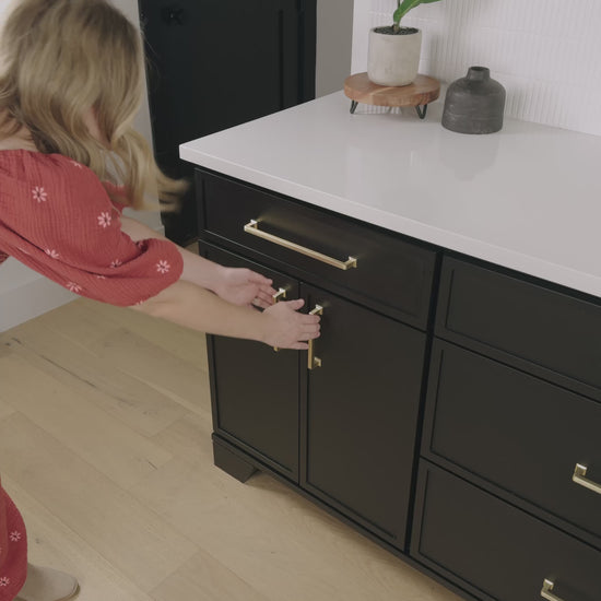 rollout shelf in a cabinet
