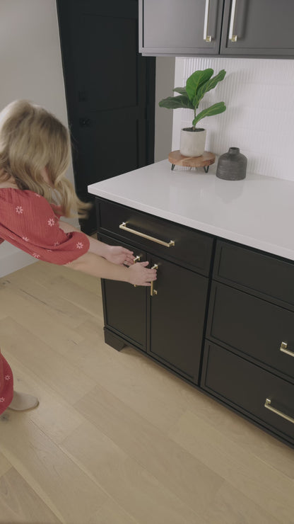 rollout shelf in a cabinet