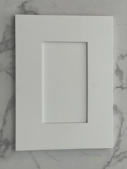 White Shaker Sample Door